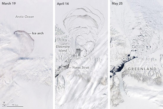 The left image shows the arch when it was still mostly intact on March 19, 2019. Notice the long, linear cloud streamers just south of the arch. This cloud type usually forms in the presence of strong winds, one factor that can help an ice arch collapse. By April 14 the solid pack of ice behind the arch was crumbling (middle), and by May 25 the broken bits were flowing freely through the Nares Strait (right).